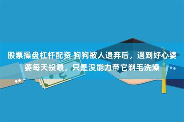 股票操盘杠杆配资 狗狗被人遗弃后，遇到好心婆婆每天投喂，只是没能力带它剃毛洗澡