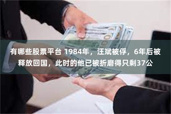 有哪些股票平台 1984年，汪斌被俘，6年后被释放回国，此时的他已被折磨得只剩37公
