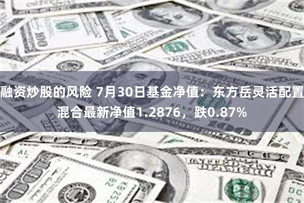 融资炒股的风险 7月30日基金净值：东方岳灵活配置混合最新净值1.2876，跌0.87%