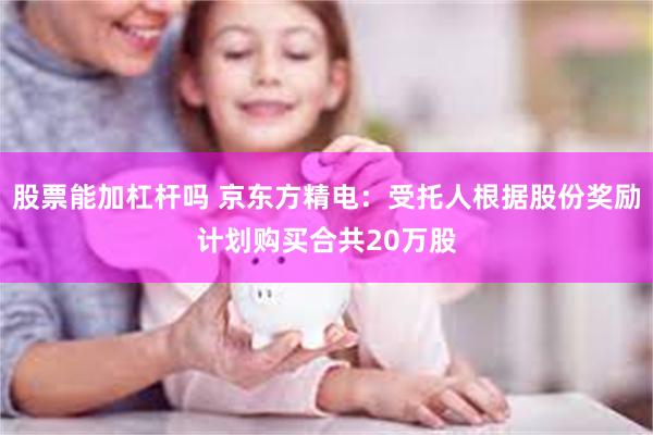 股票能加杠杆吗 京东方精电：受托人根据股份奖励计划购买合共20万股
