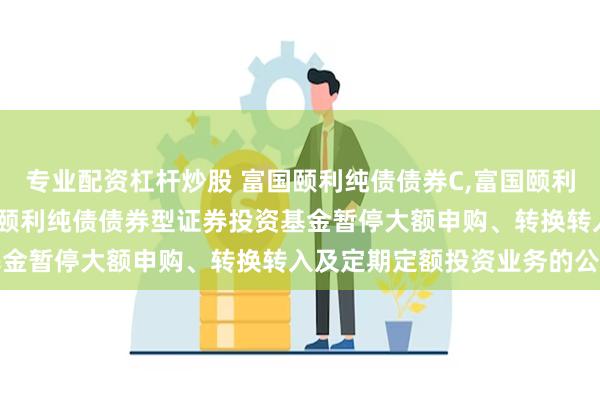 专业配资杠杆炒股 富国颐利纯债债券C,富国颐利纯债债券型A: 关于富国颐利纯债债券型证券投资基金暂停大额申购、转换转入及定期定额投资业务的公告